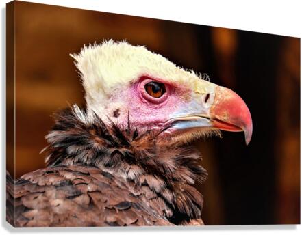 4000 Canvas Print