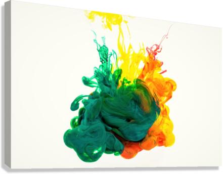 4002 Canvas Print
