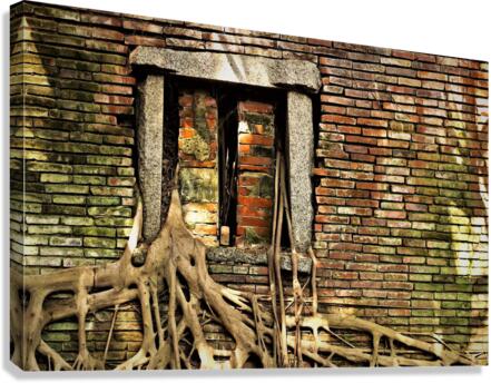 4003 Canvas Print
