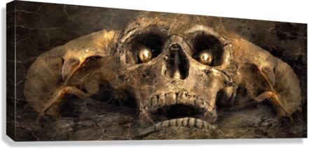 4017 Canvas Print