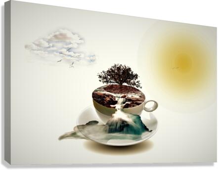 4020 Canvas Print