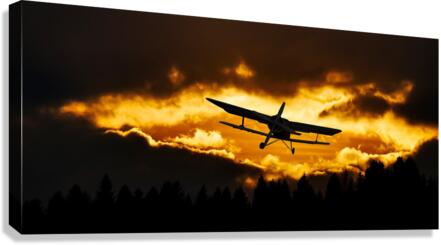 4022 Canvas Print