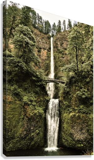 4024 Canvas Print