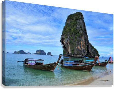 4035 Canvas Print