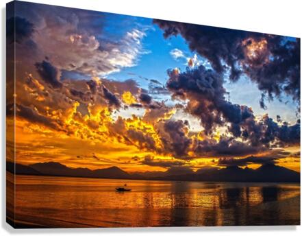 4036 Canvas Print