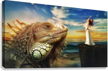 4041 Canvas Print