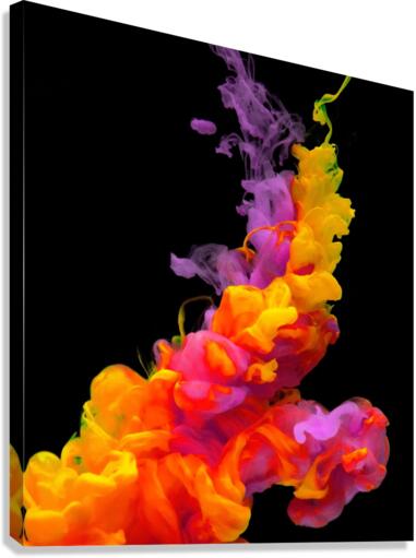 4051 Canvas Print