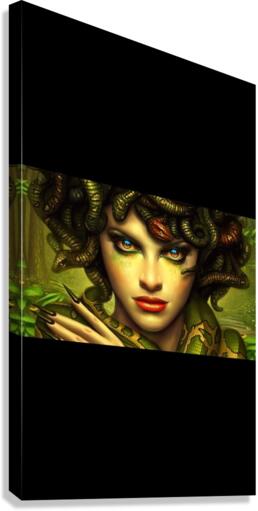 4056 Canvas Print