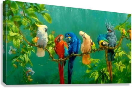 4070 Canvas Print