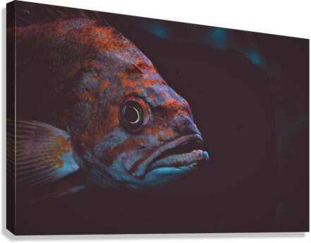 4076 Canvas Print