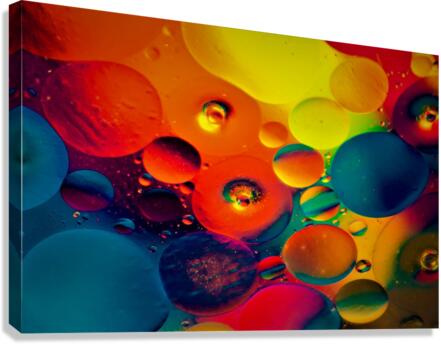 4079 Canvas Print