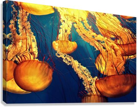 4085 Canvas Print