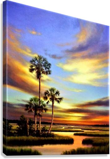 4094 Canvas Print