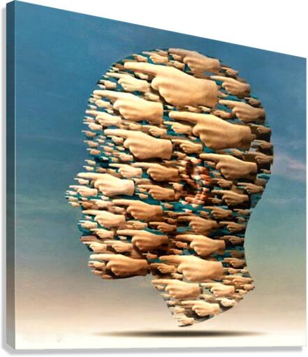 4095 Canvas Print