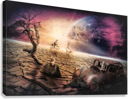 4117 Canvas Print