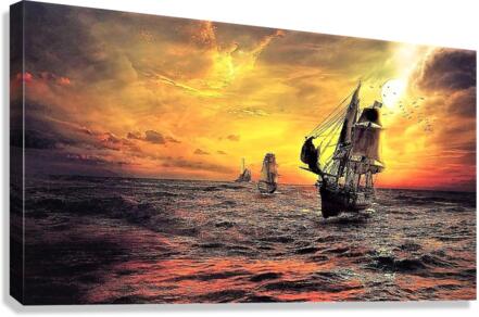 4124 Canvas Print