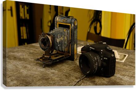 4126 Canvas Print