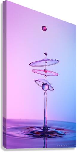 4127 Canvas Print
