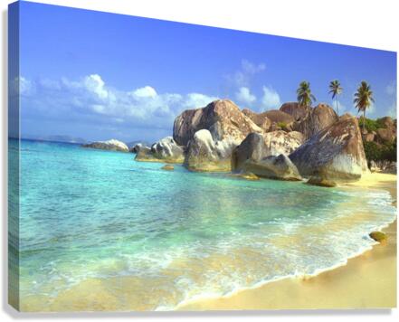4128 Canvas Print