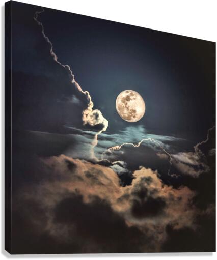 4143 Canvas Print