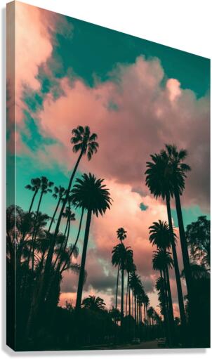 4141 Canvas Print