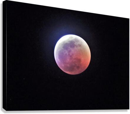 4145 Canvas Print