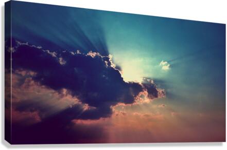 4146 Canvas Print