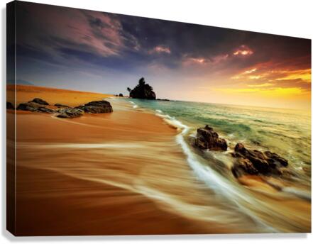 4147 Canvas Print