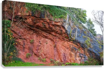 4154 Canvas Print
