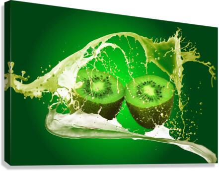 4164 Canvas Print