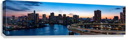 4170 Canvas Print