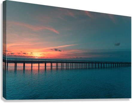4174 Canvas Print