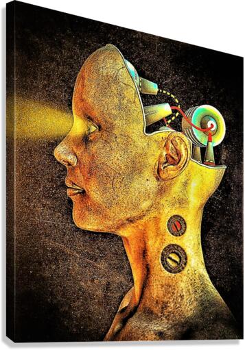 4177 Canvas Print