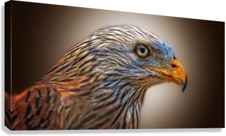 4184 Canvas Print