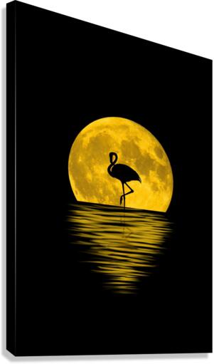 4190 Canvas Print