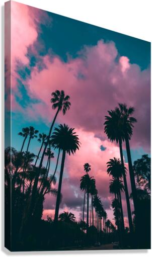 4199 Canvas Print