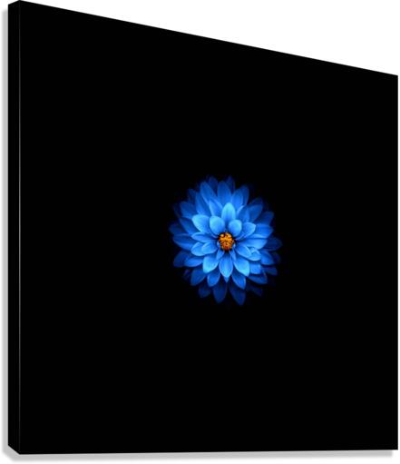 4200 Canvas Print