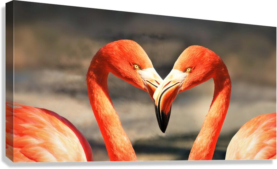 4204 Canvas Print