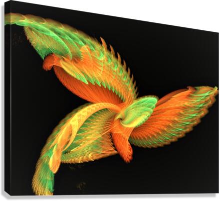 4207 Canvas Print