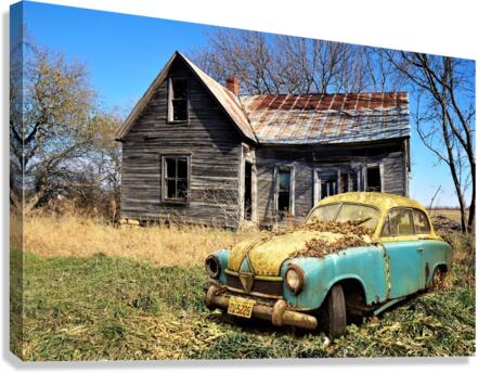 4208 Canvas Print