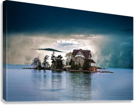 4209 Canvas Print