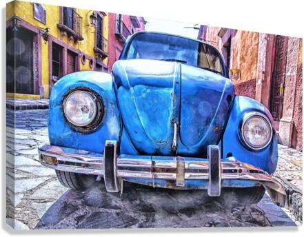4211 Canvas Print
