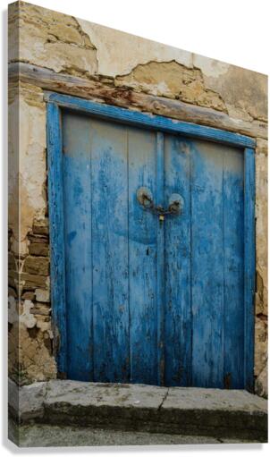 4214 Canvas Print
