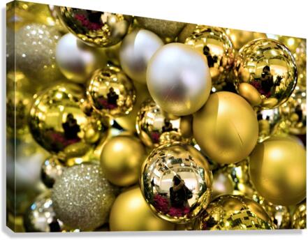 4215 Canvas Print