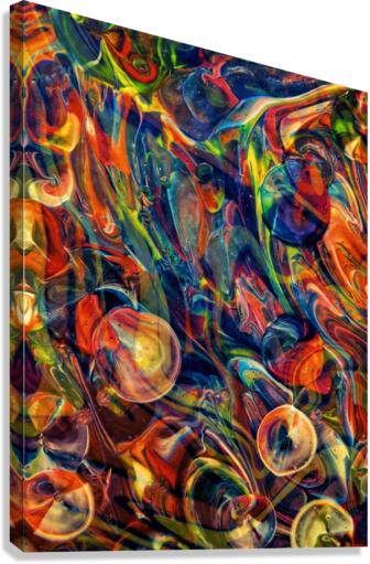 4217 Canvas Print