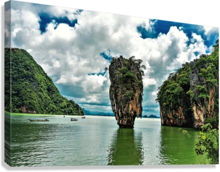 4219 Canvas Print