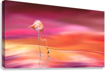 4222 Canvas Print