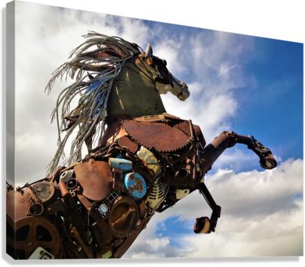 4225 Canvas Print