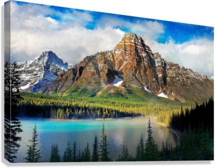 4229 Canvas Print
