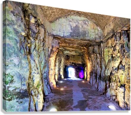4230 Canvas Print